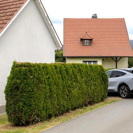 Flat Bull Appartement Mit Garten Sankt Lorenzen bei Knittelfeld Exterior foto